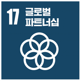 sdg 17