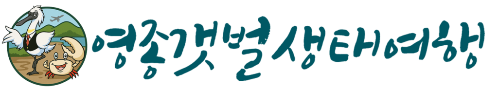 로고 영종갯벌생태여행(대형)