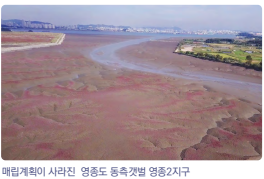 영종도 갯벌보전활동