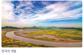한국의 갯벌