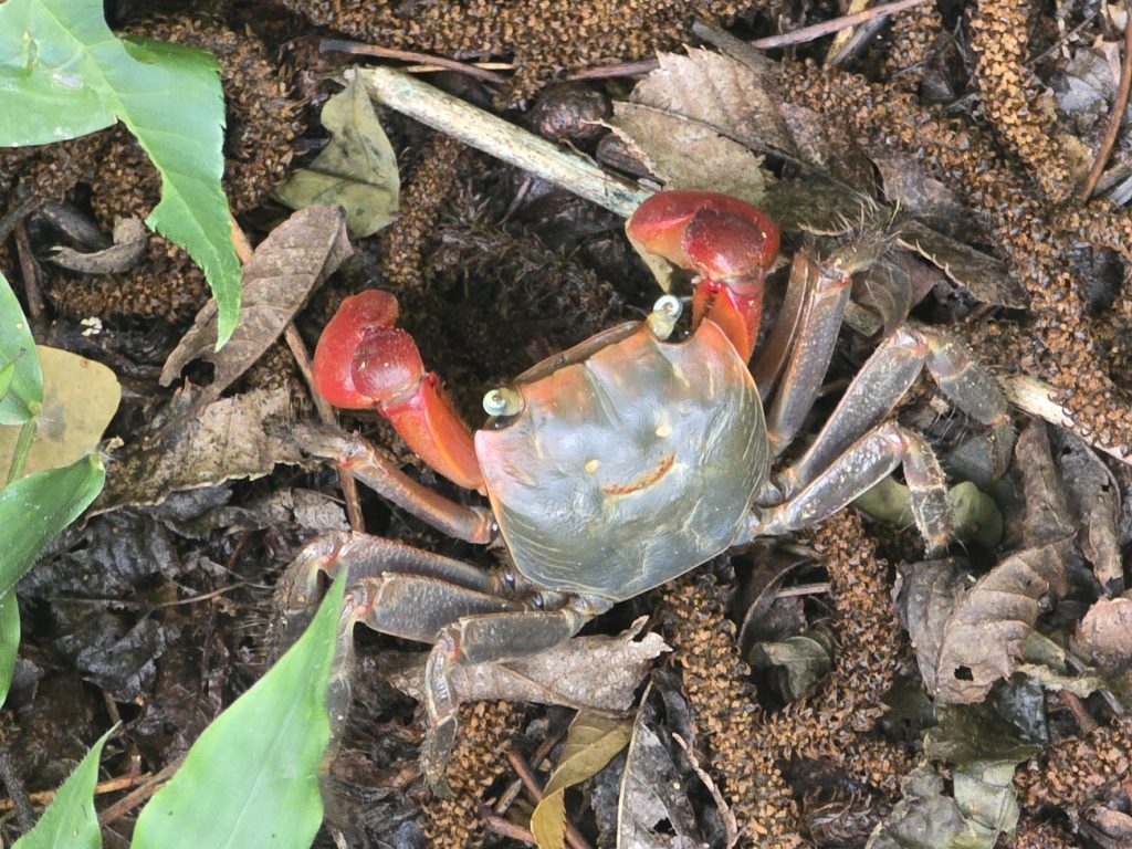 [크기변환]스마일게