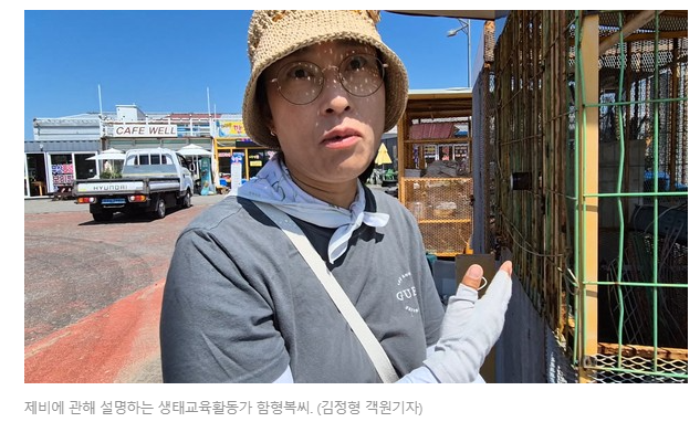 제비1.png