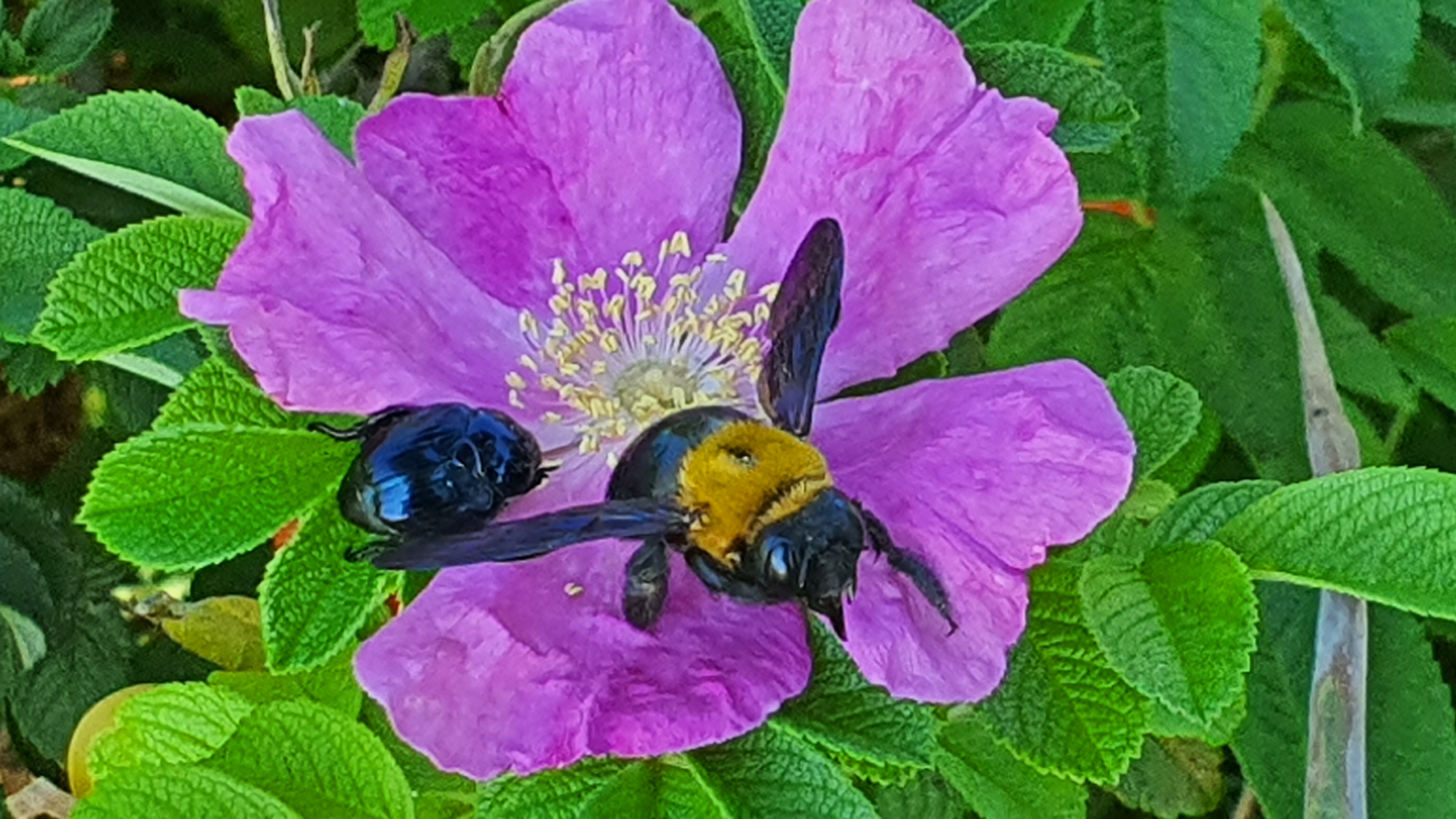 20220730_082057.jpg