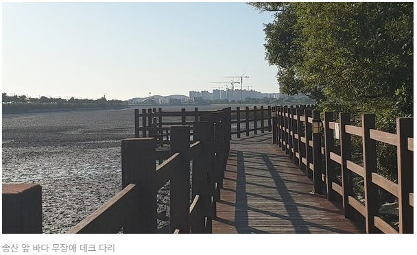 인천in_뉴스2-7.png 인천in_뉴스2-7.png