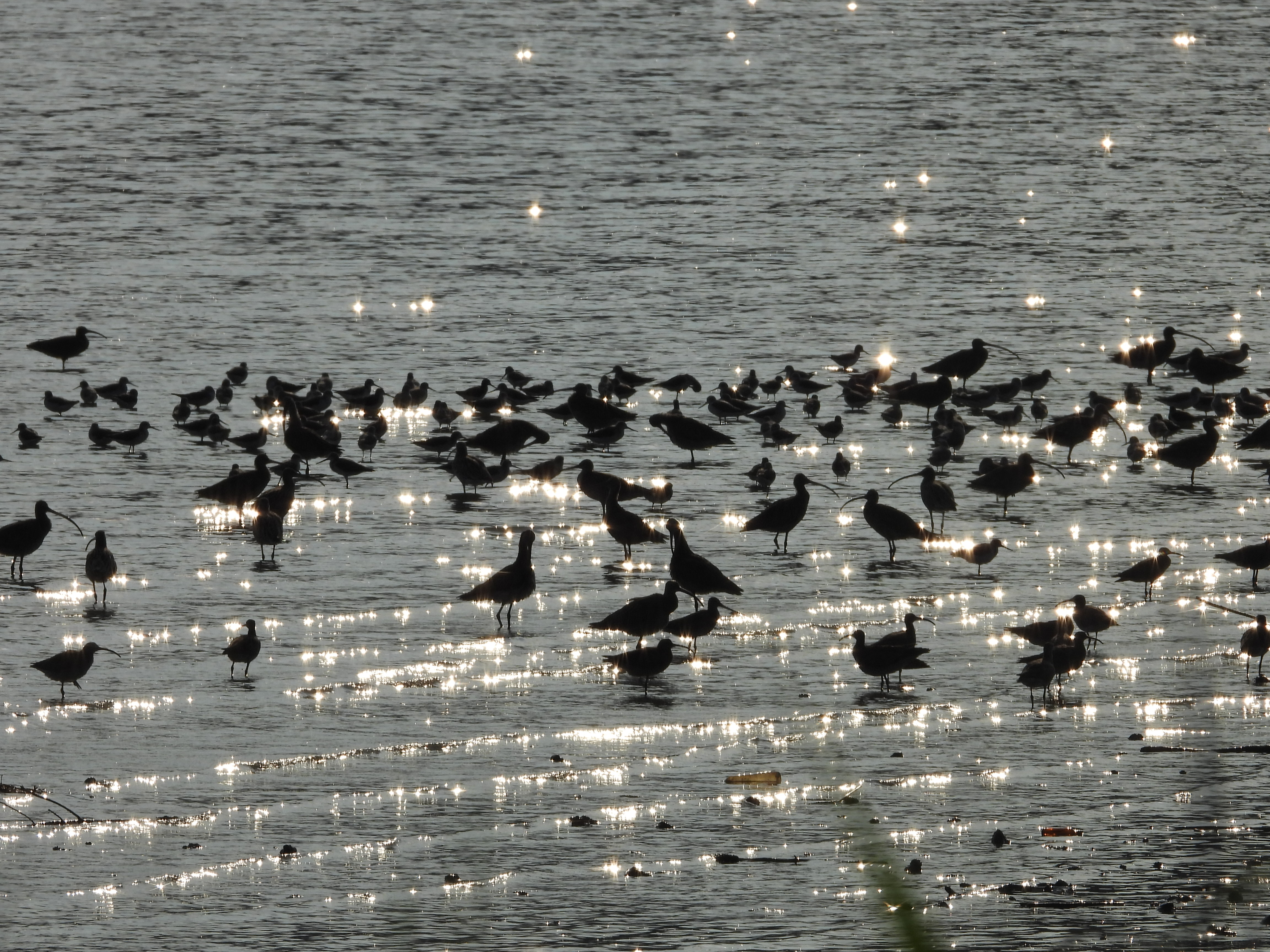 DSCN9314.JPG