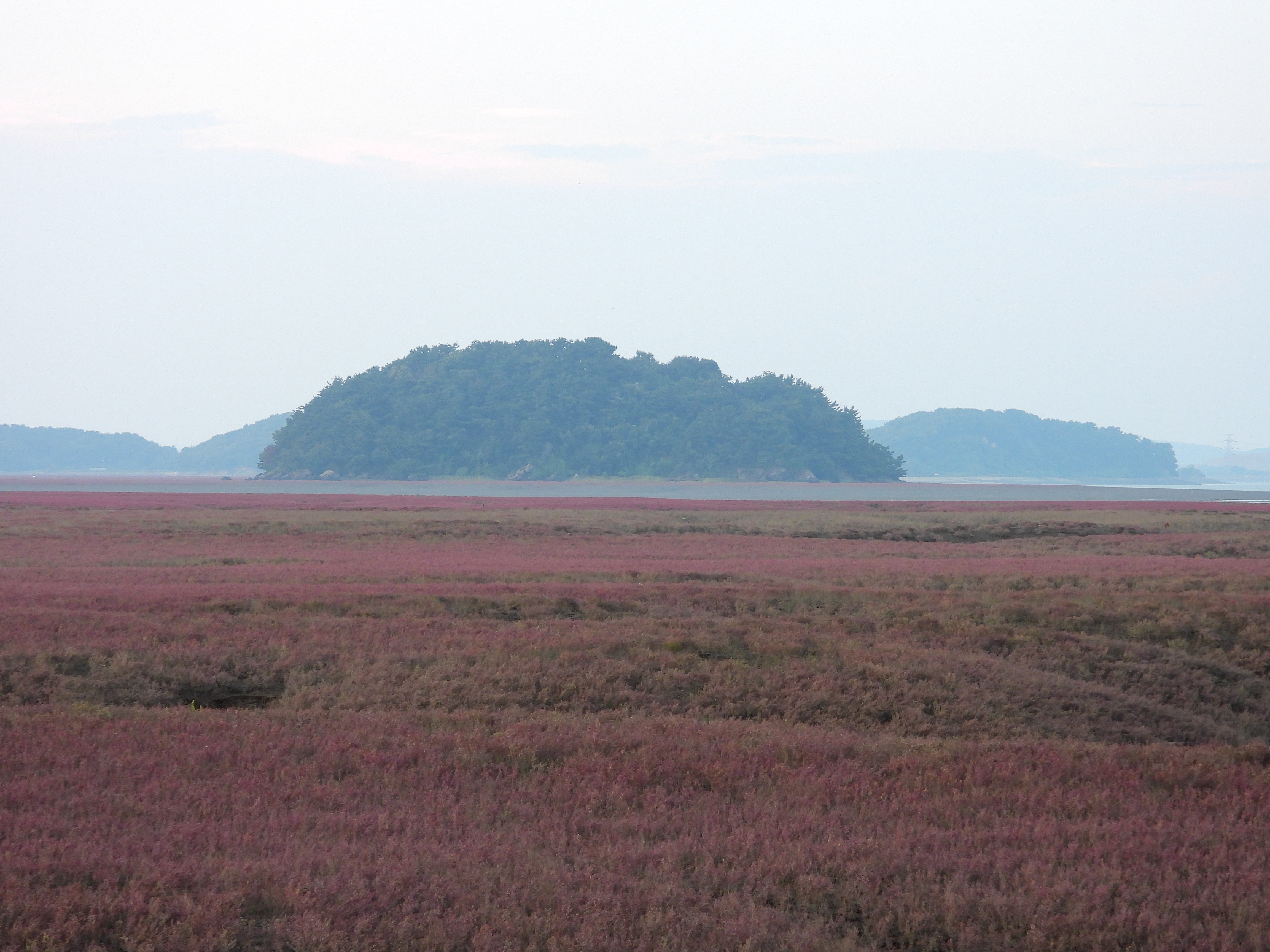 DSCN9931.JPG