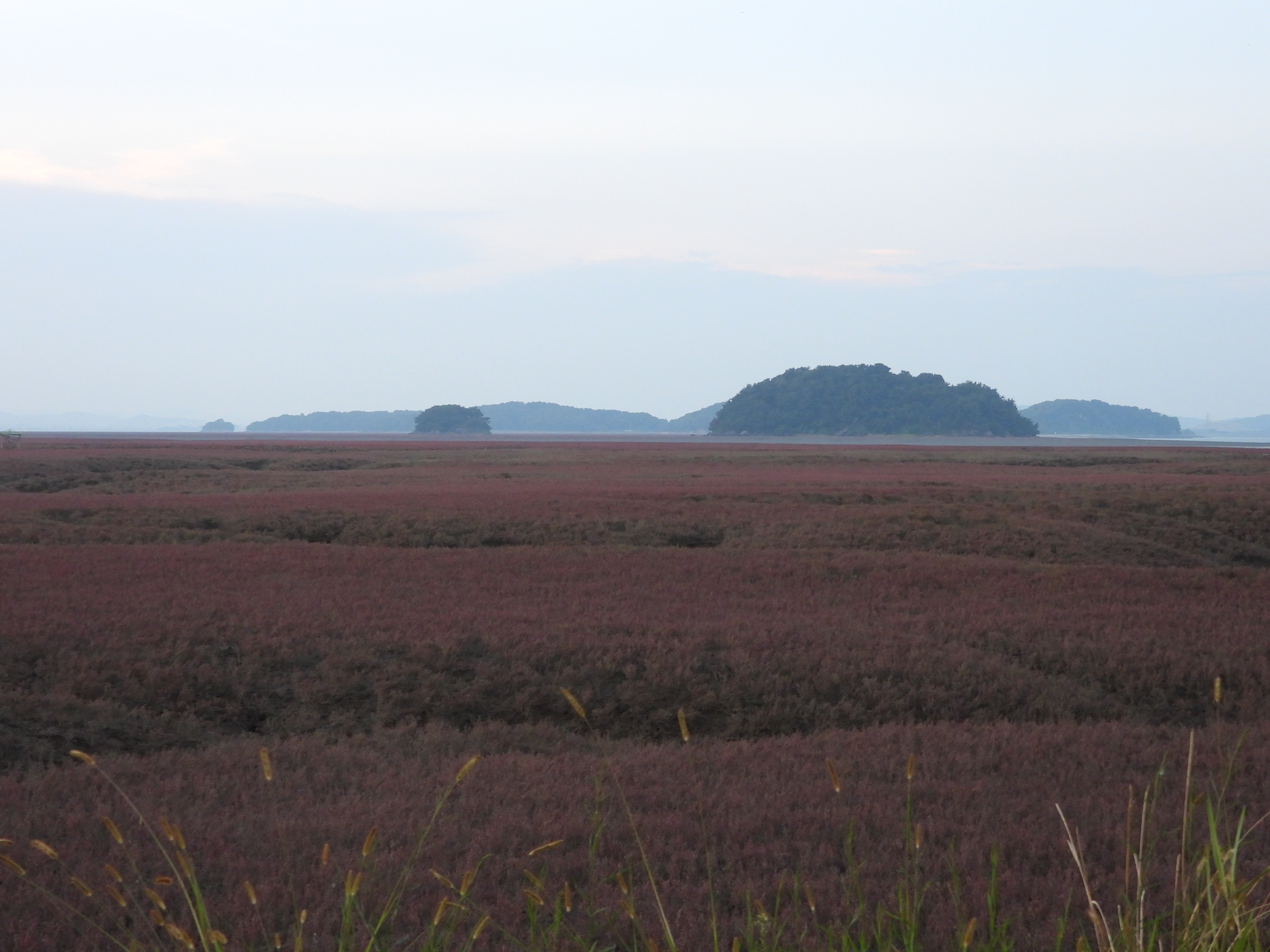 DSCN9944.JPG