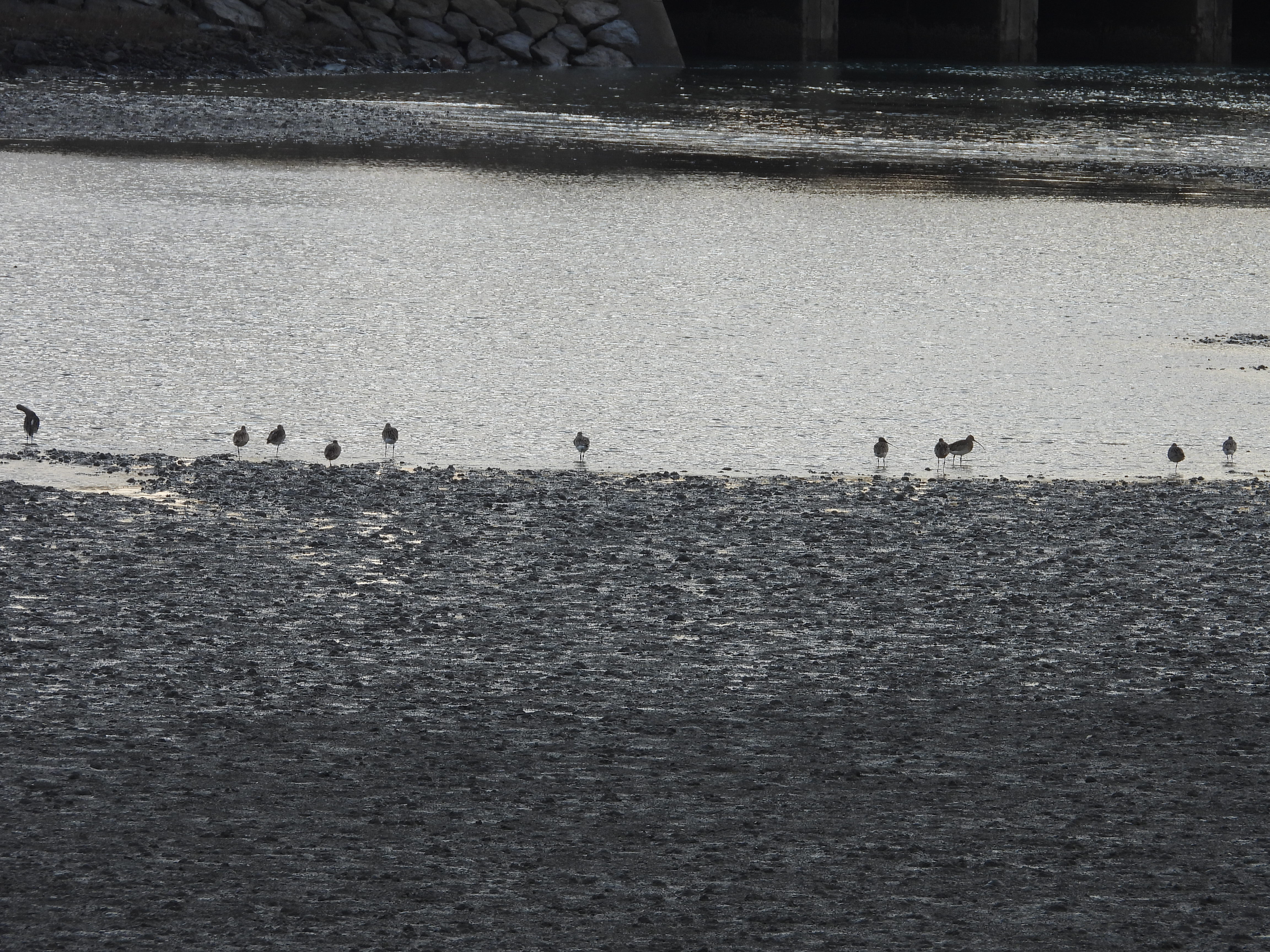 DSCN2434.JPG
