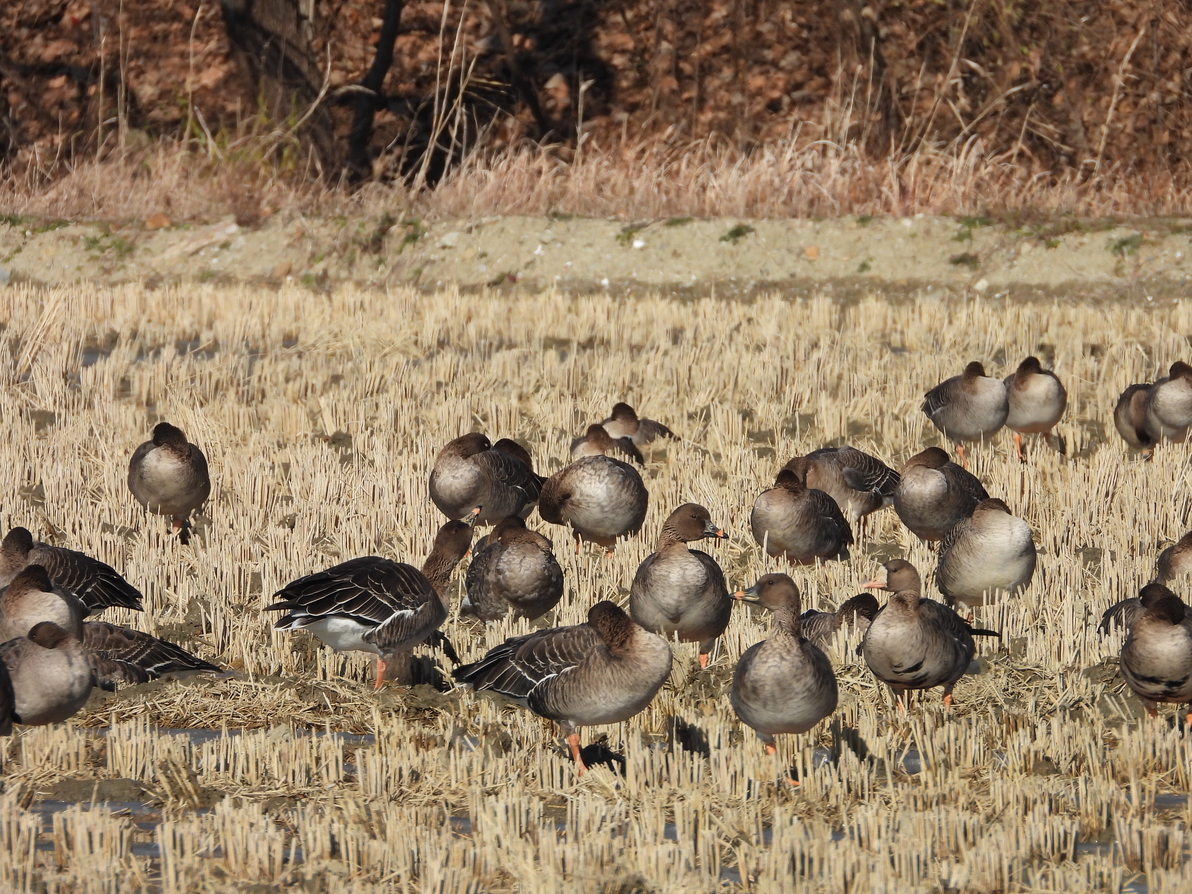 DSCN2570.JPG
