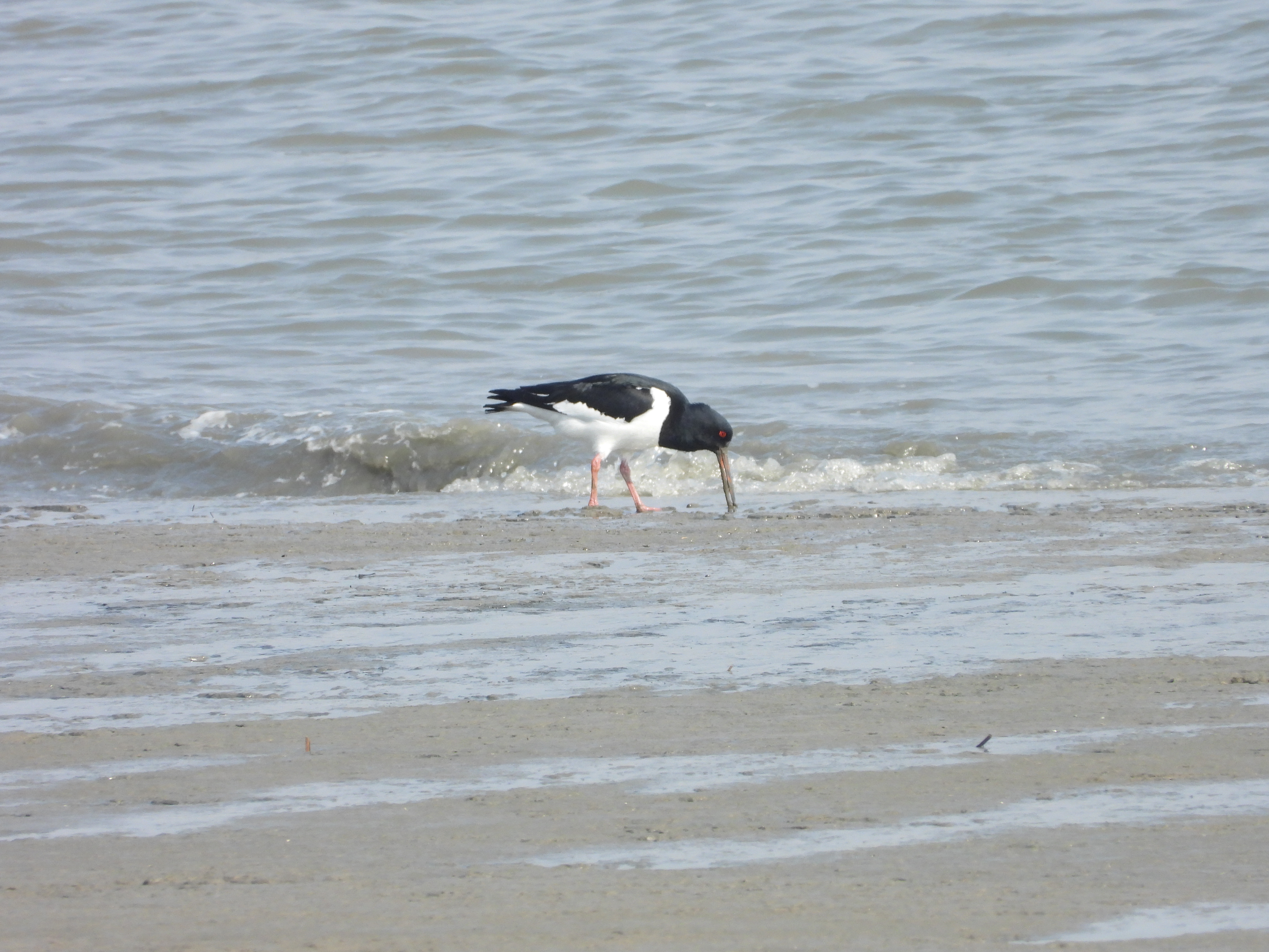 DSCN4458.JPG