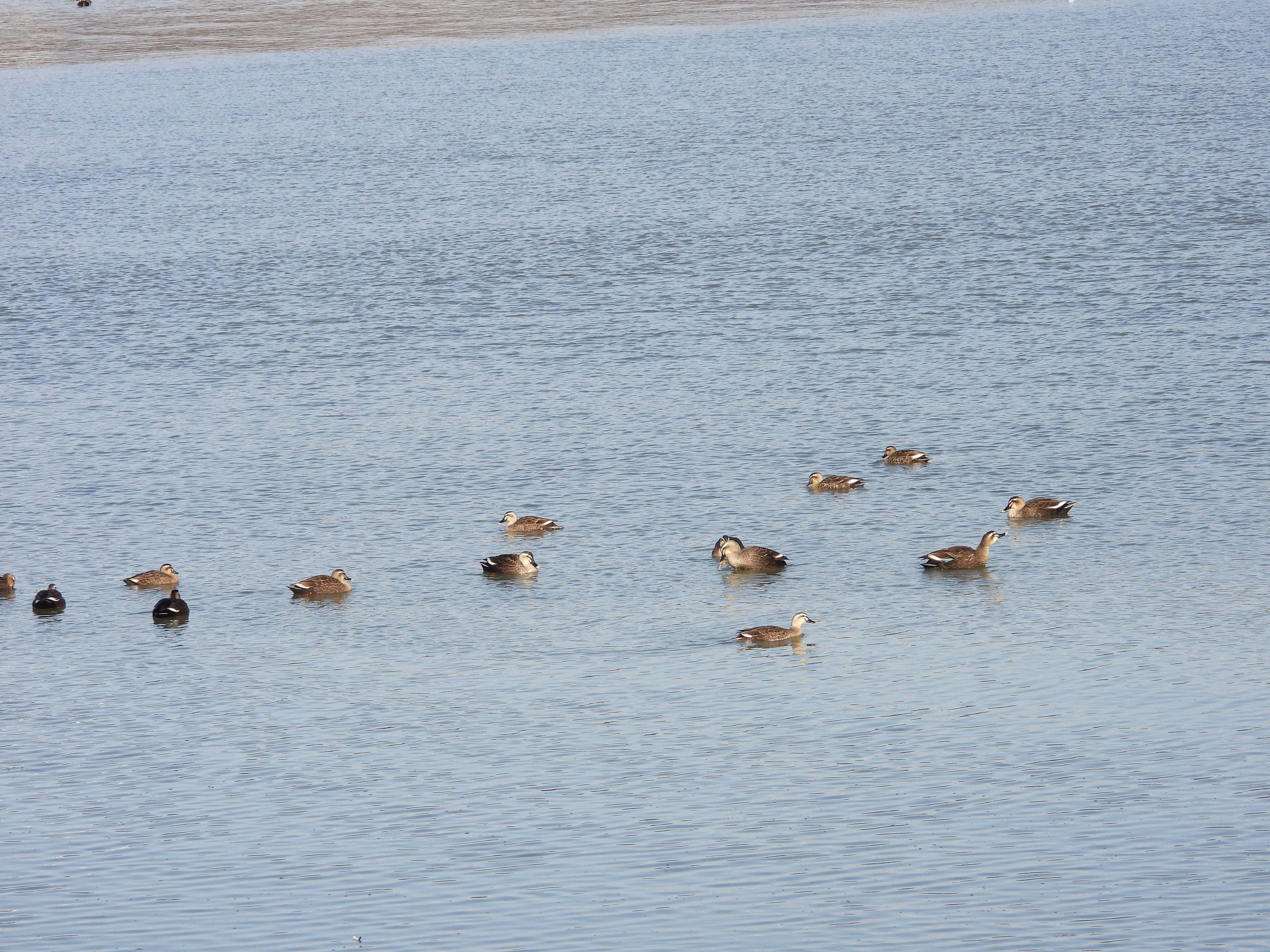 DSCN4879.JPG