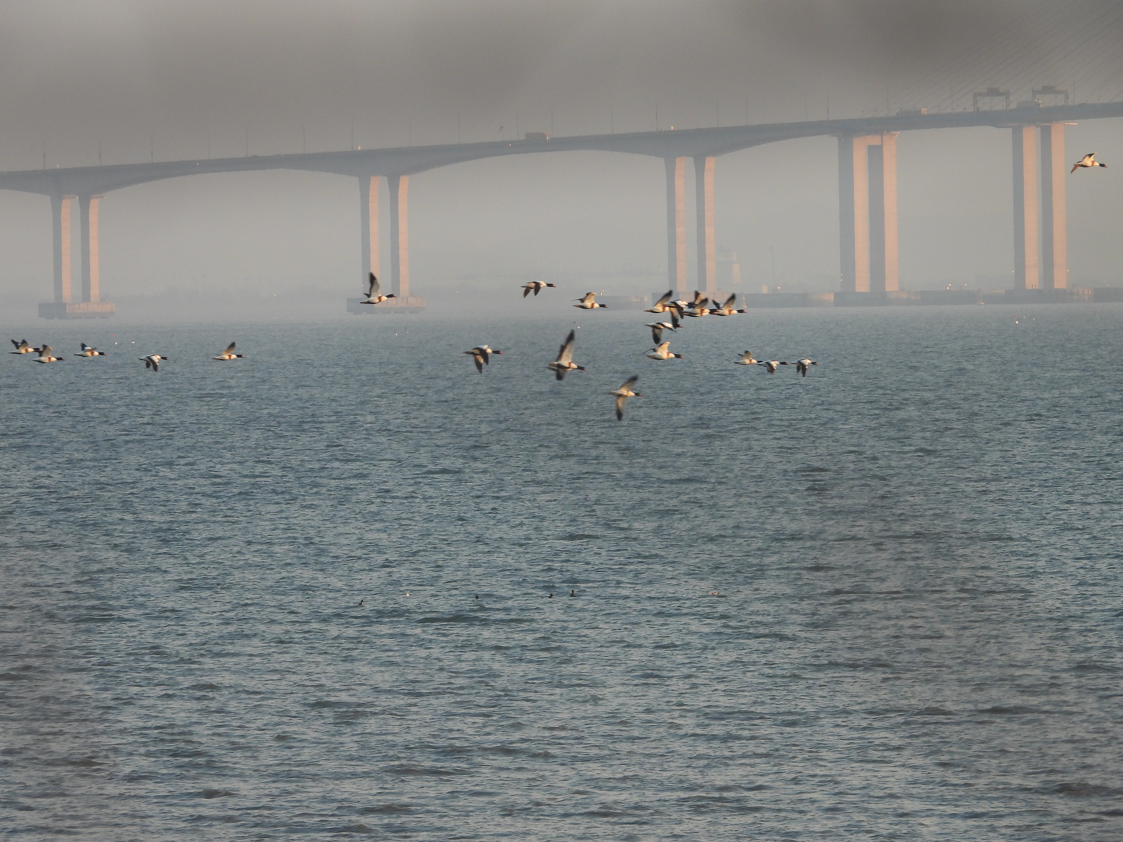 DSCN5136.JPG