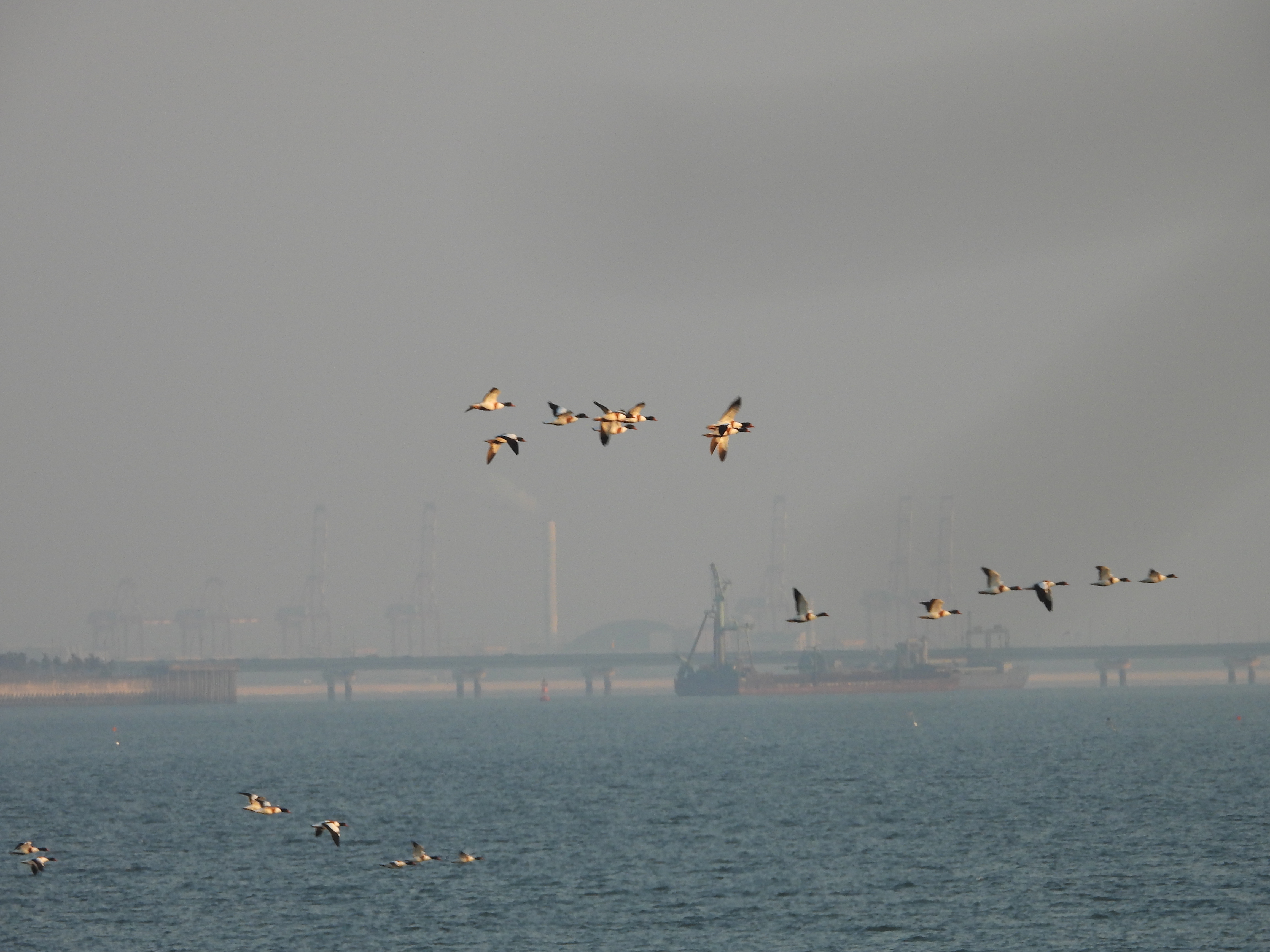 DSCN5134.JPG
