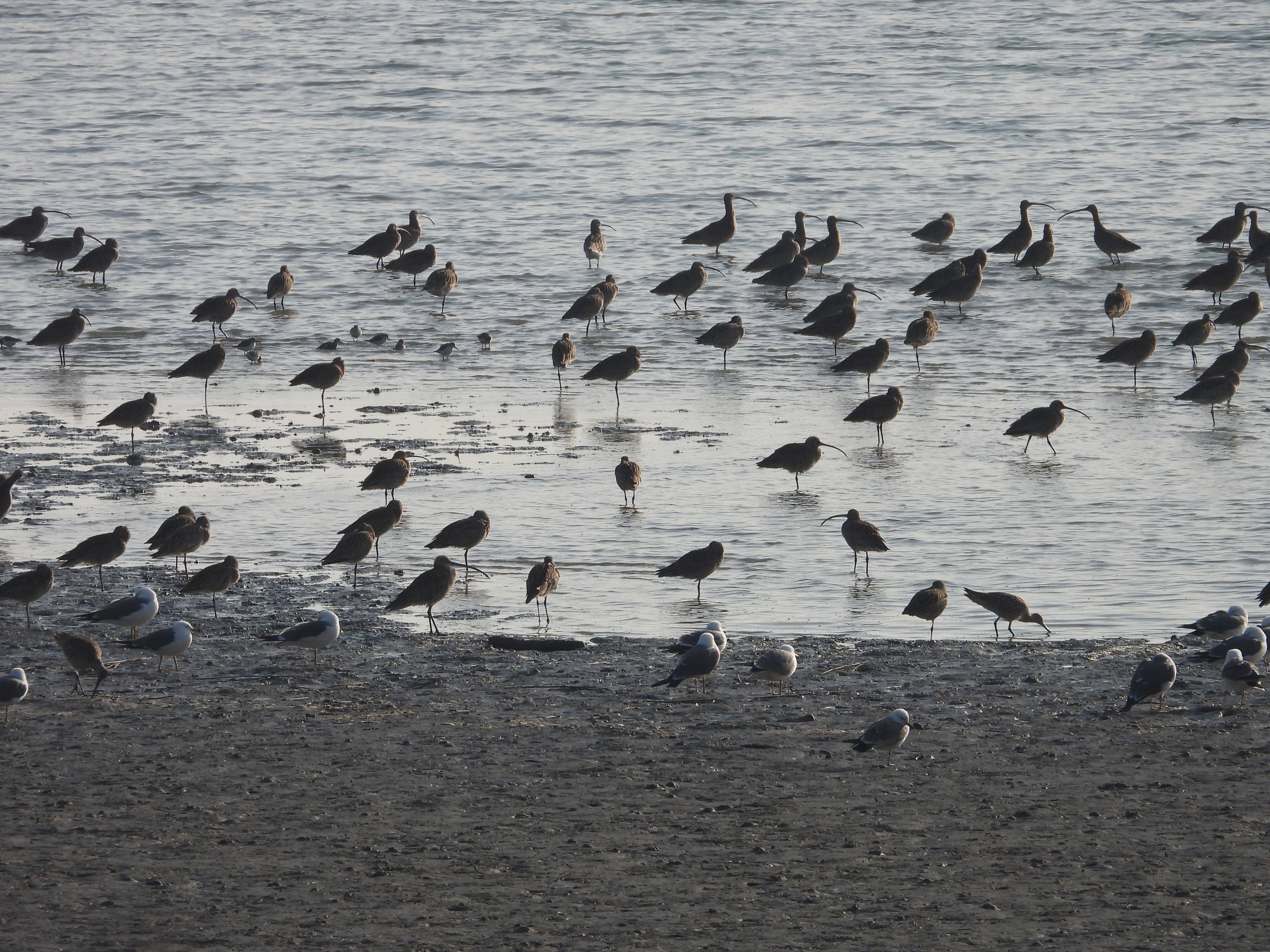 DSCN5587.JPG