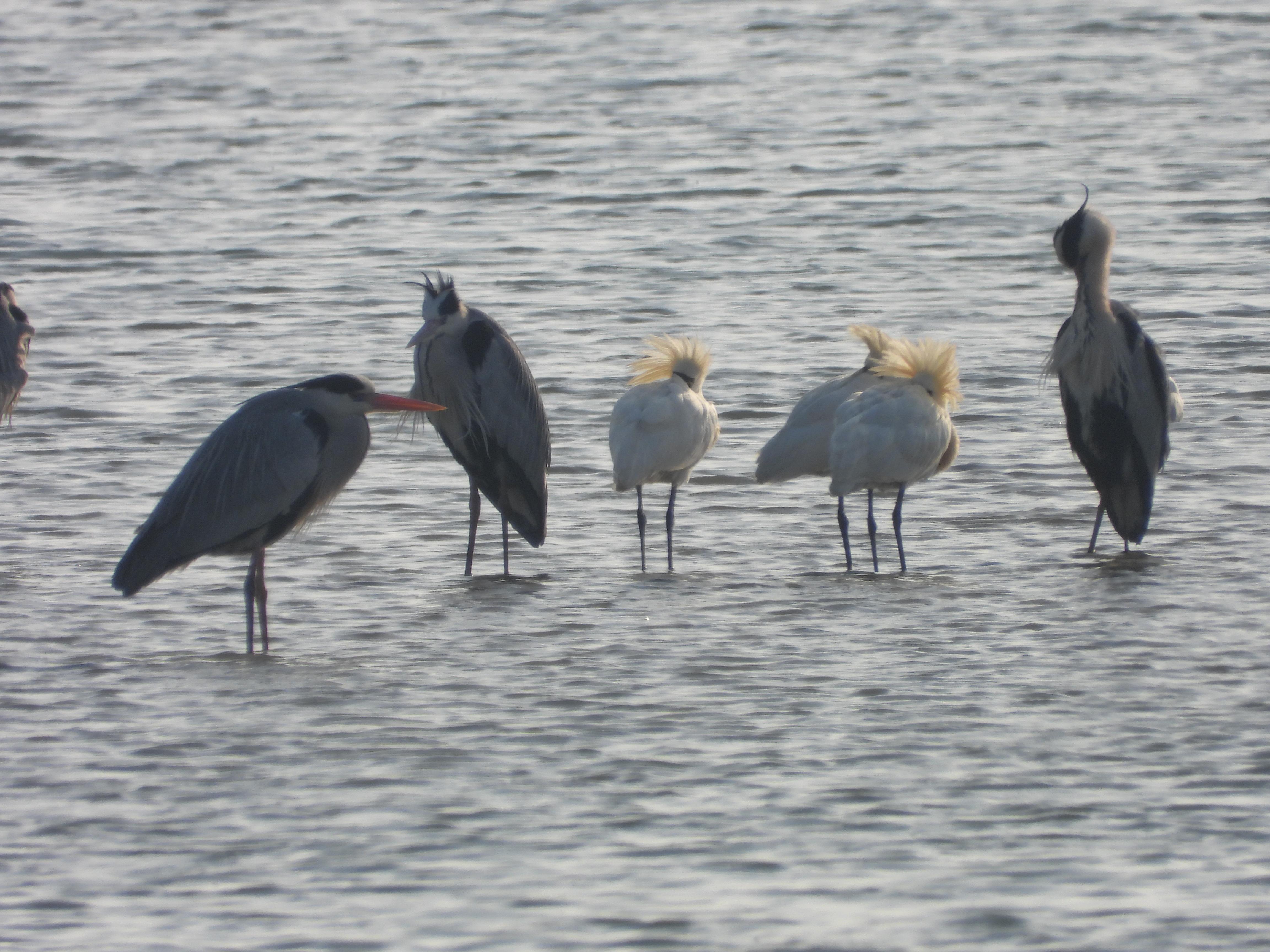 DSCN5607.JPG