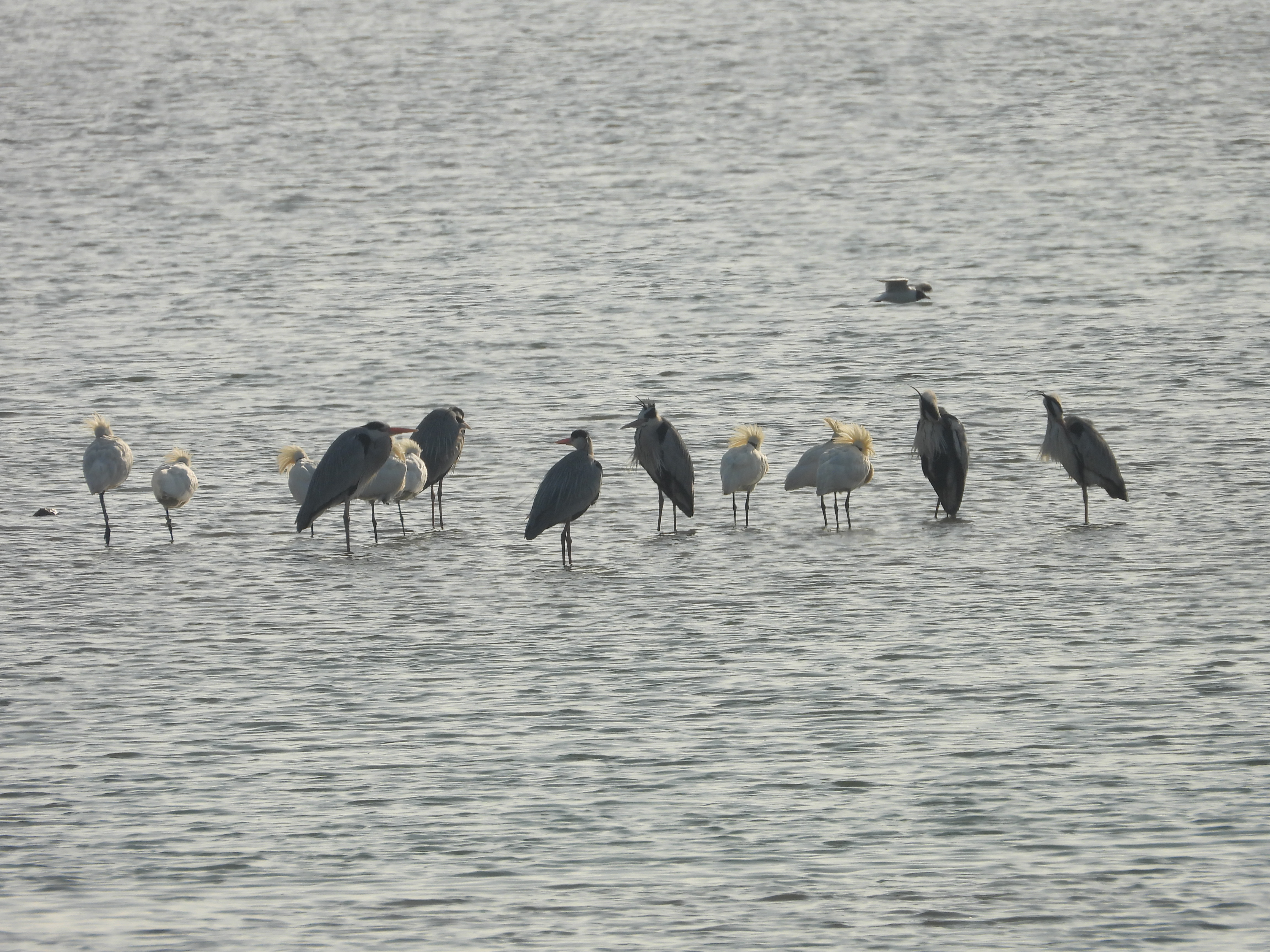 DSCN5602.JPG