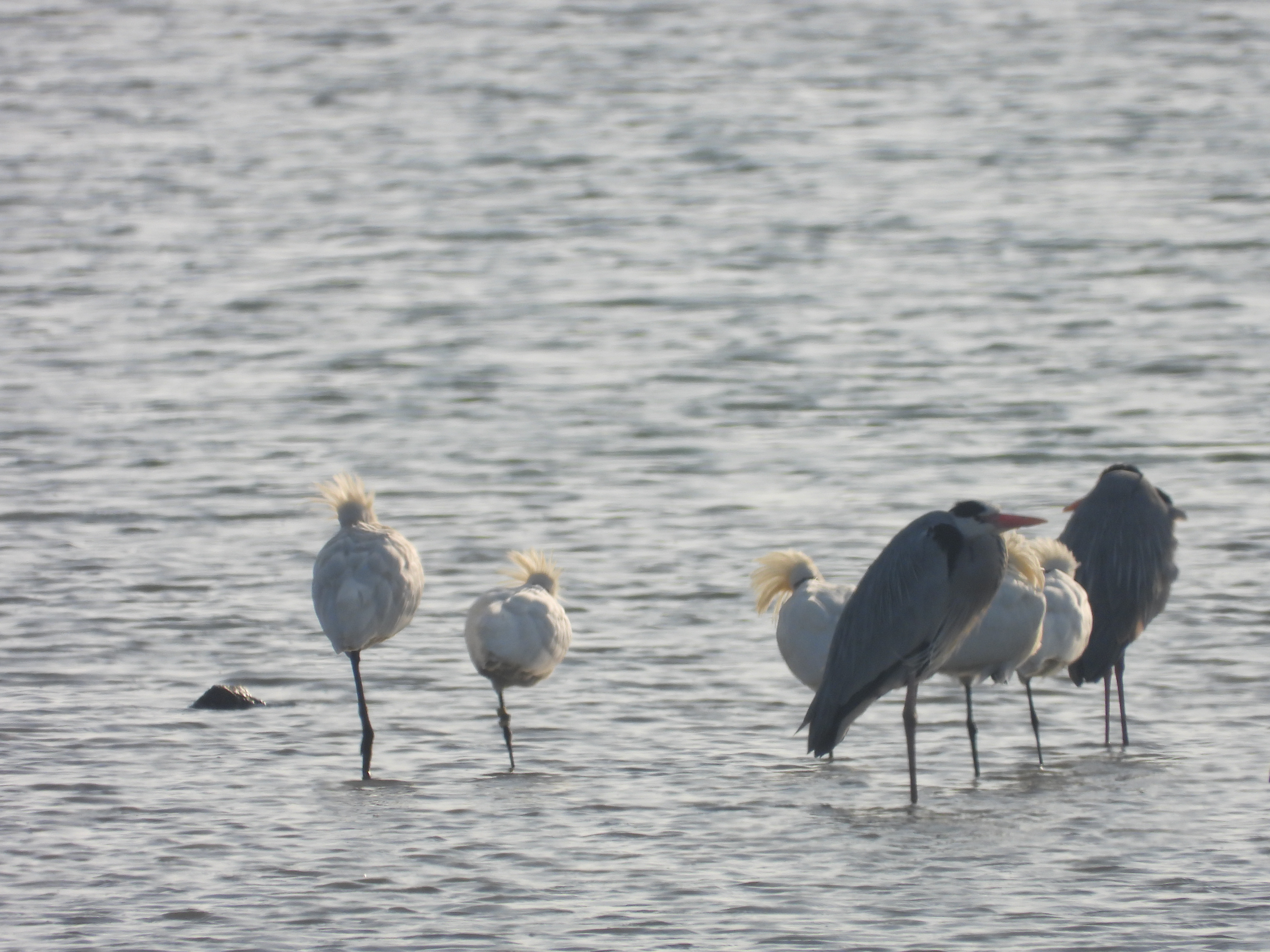 DSCN5614.JPG