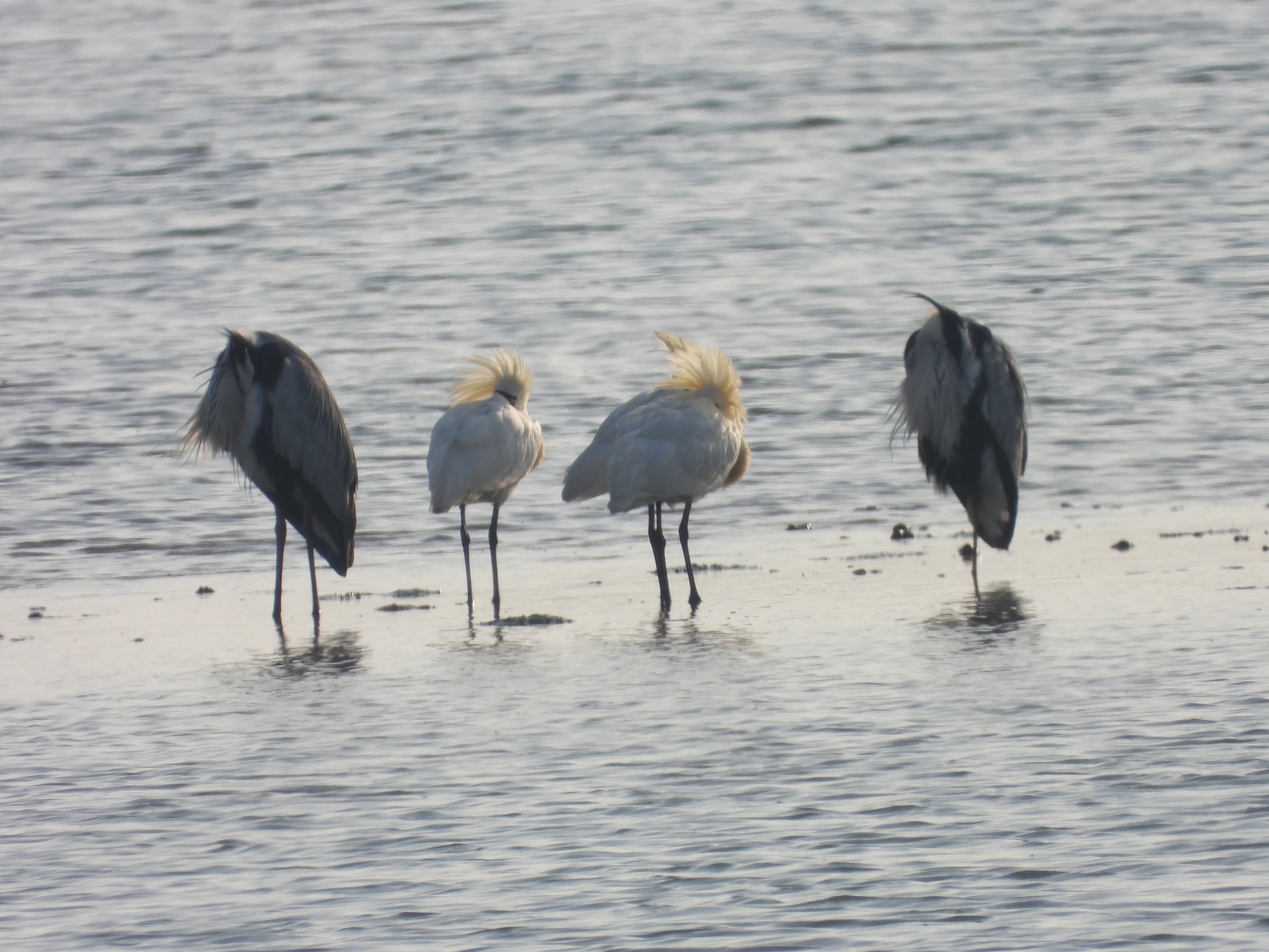 DSCN5627.JPG