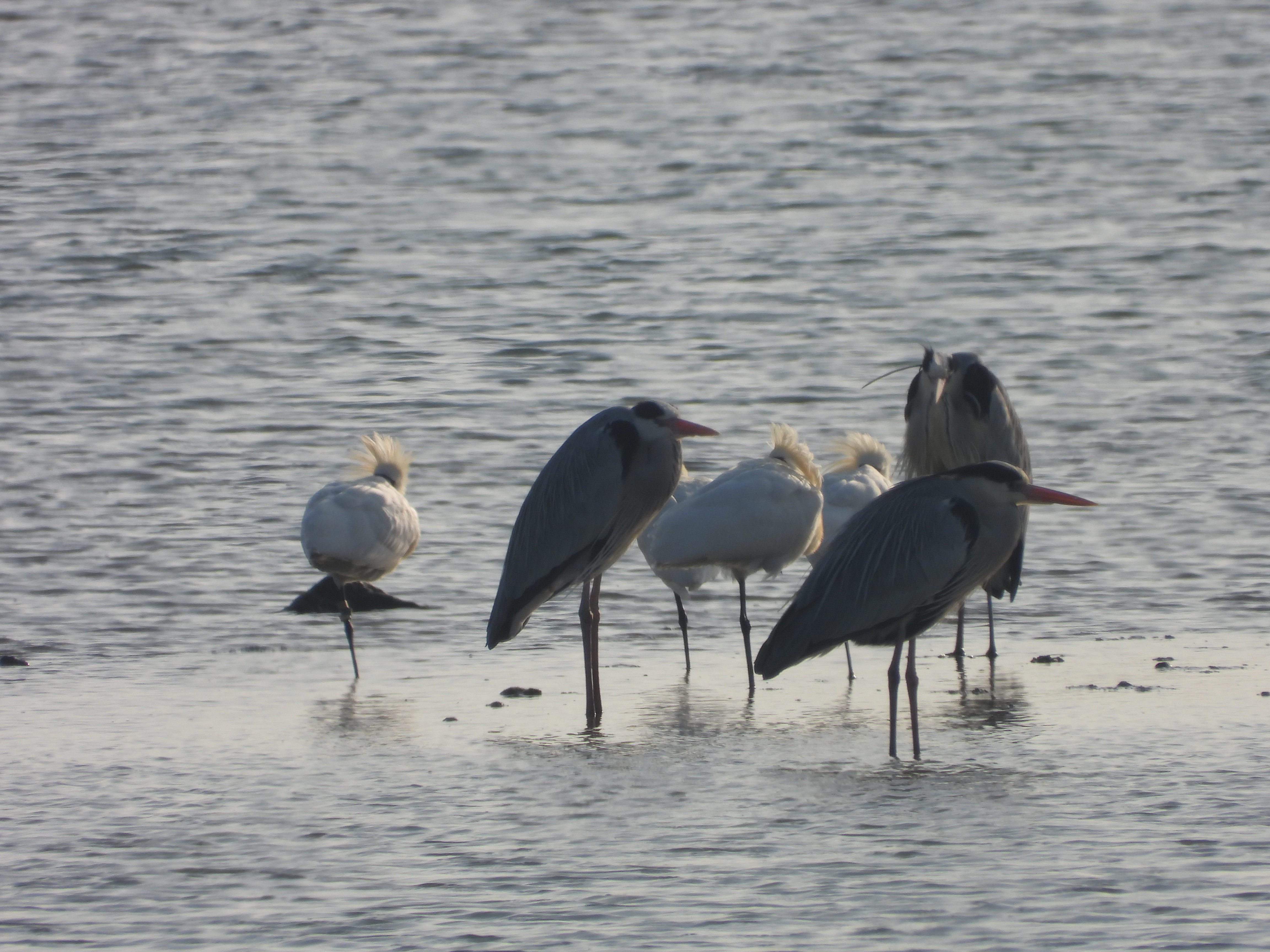 DSCN5633.JPG