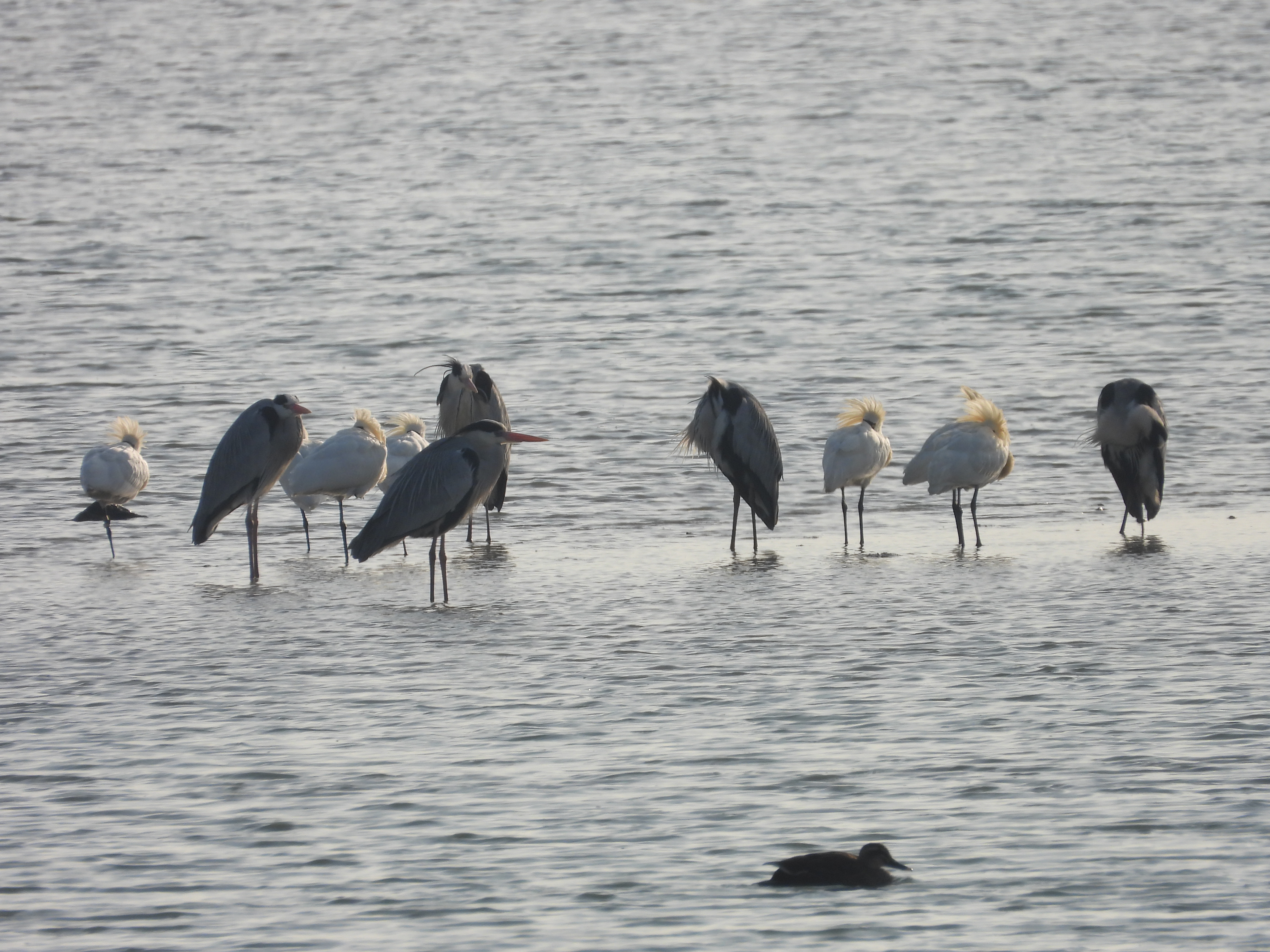 DSCN5625.JPG