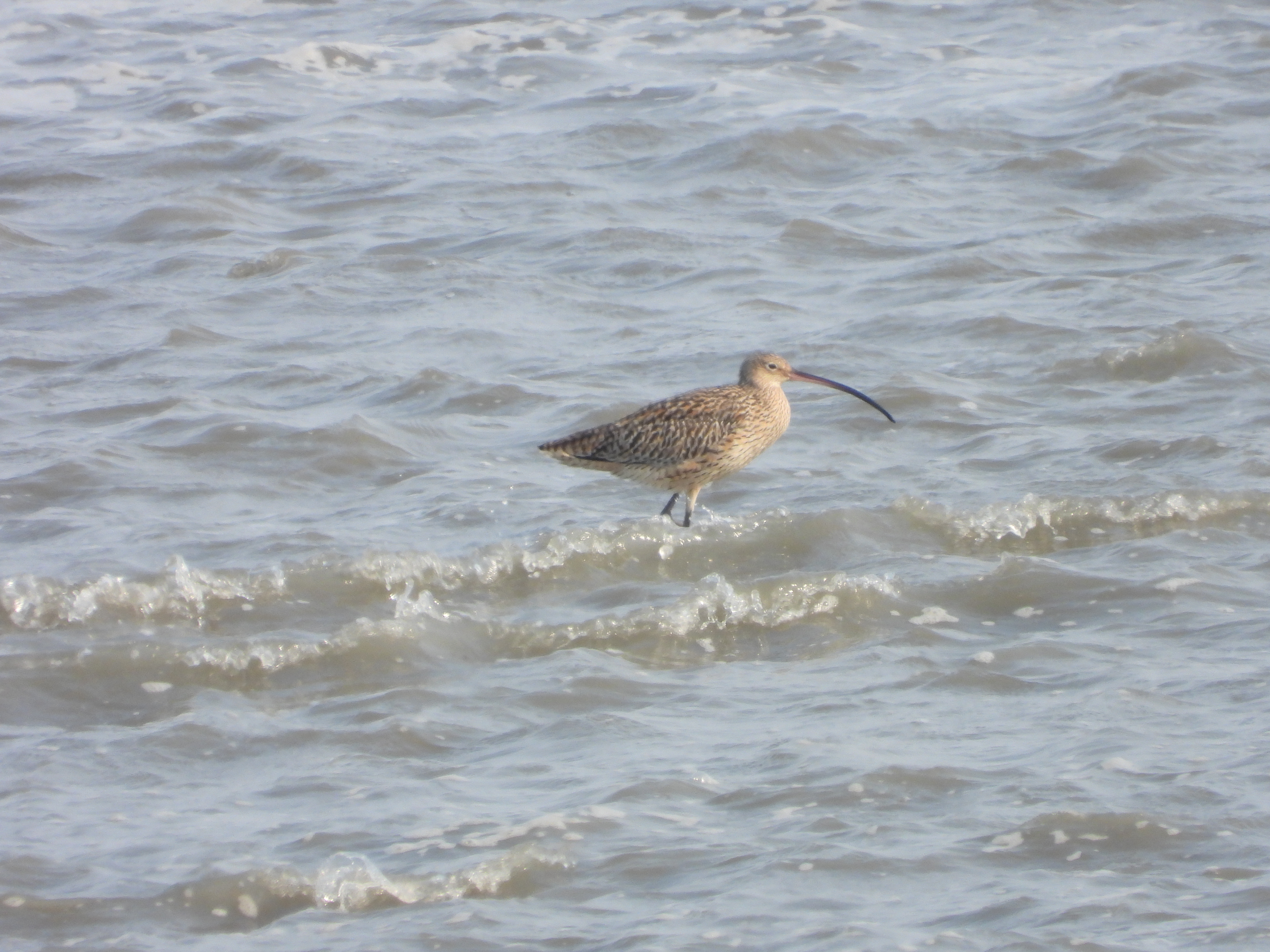DSCN6094.JPG