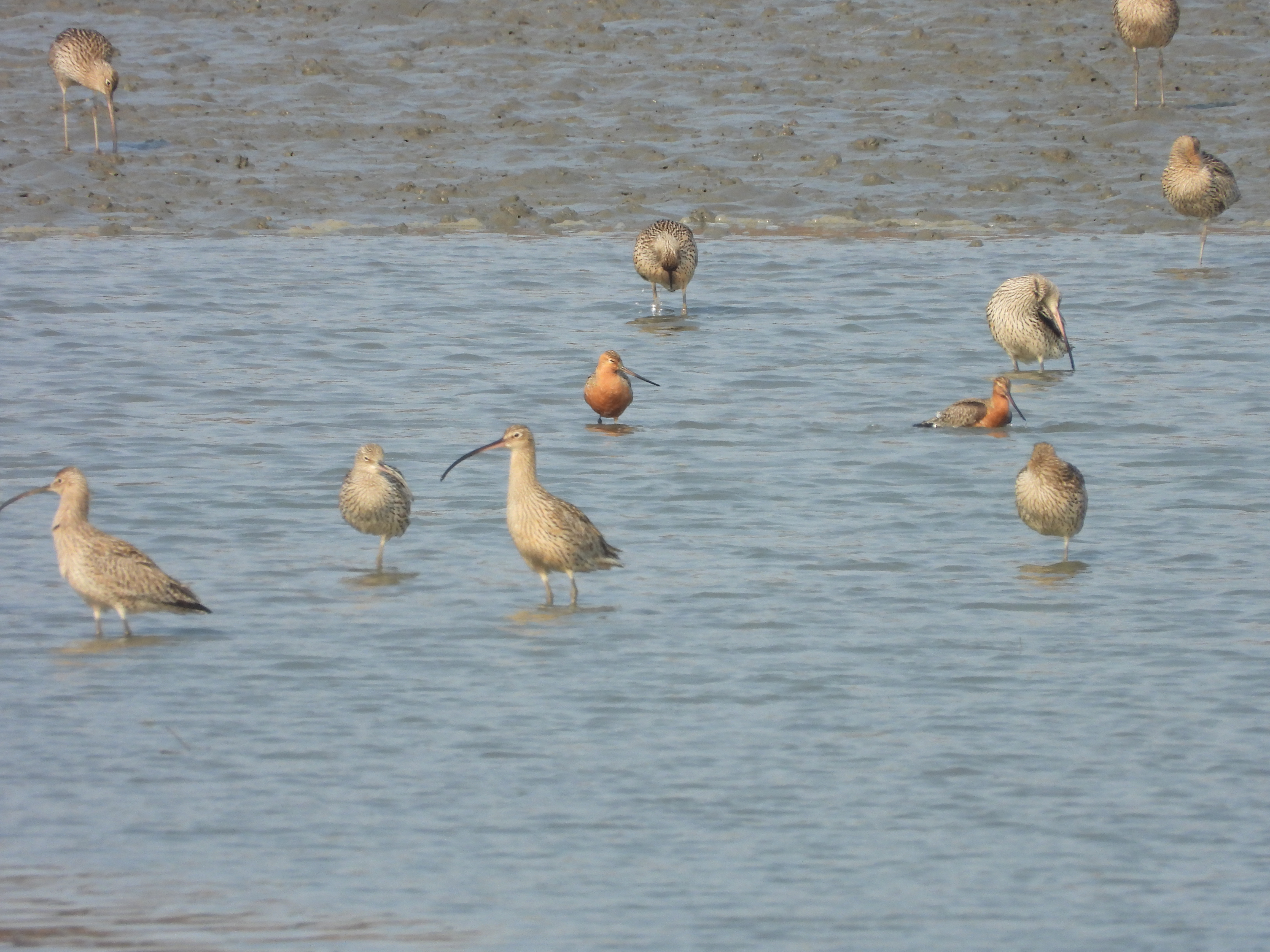 DSCN6127.JPG