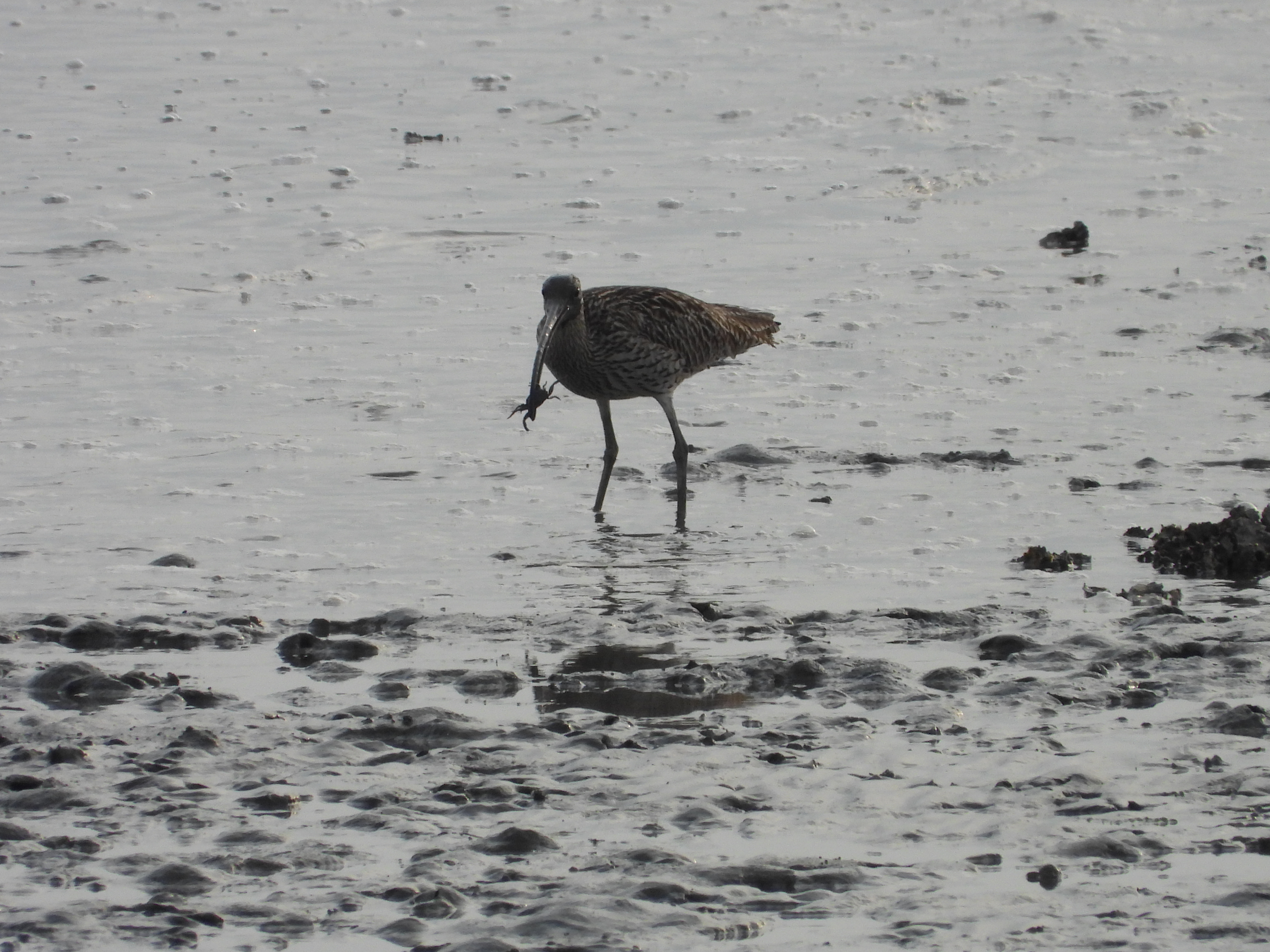 DSCN6518.JPG