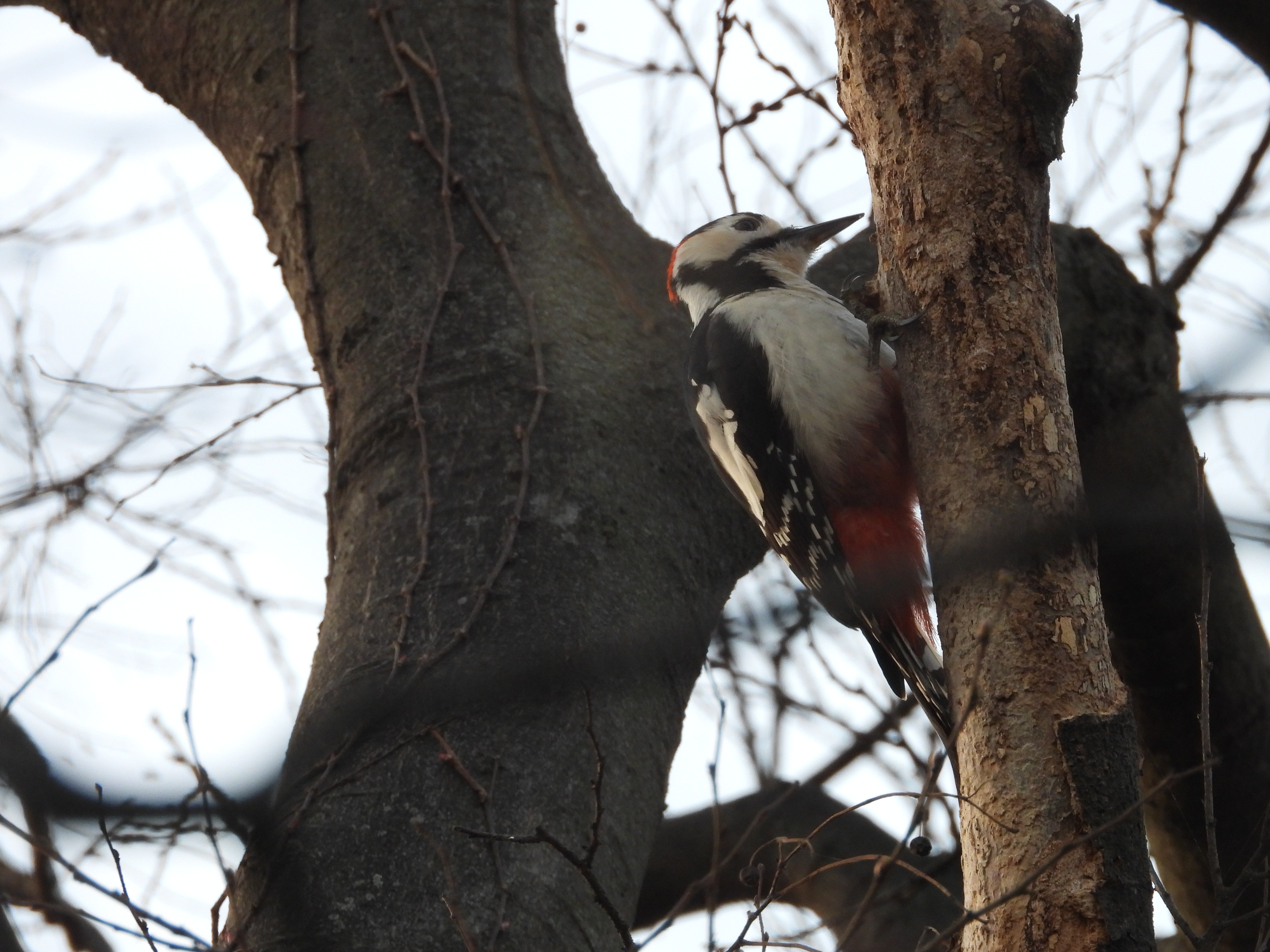 DSCN8379.JPG