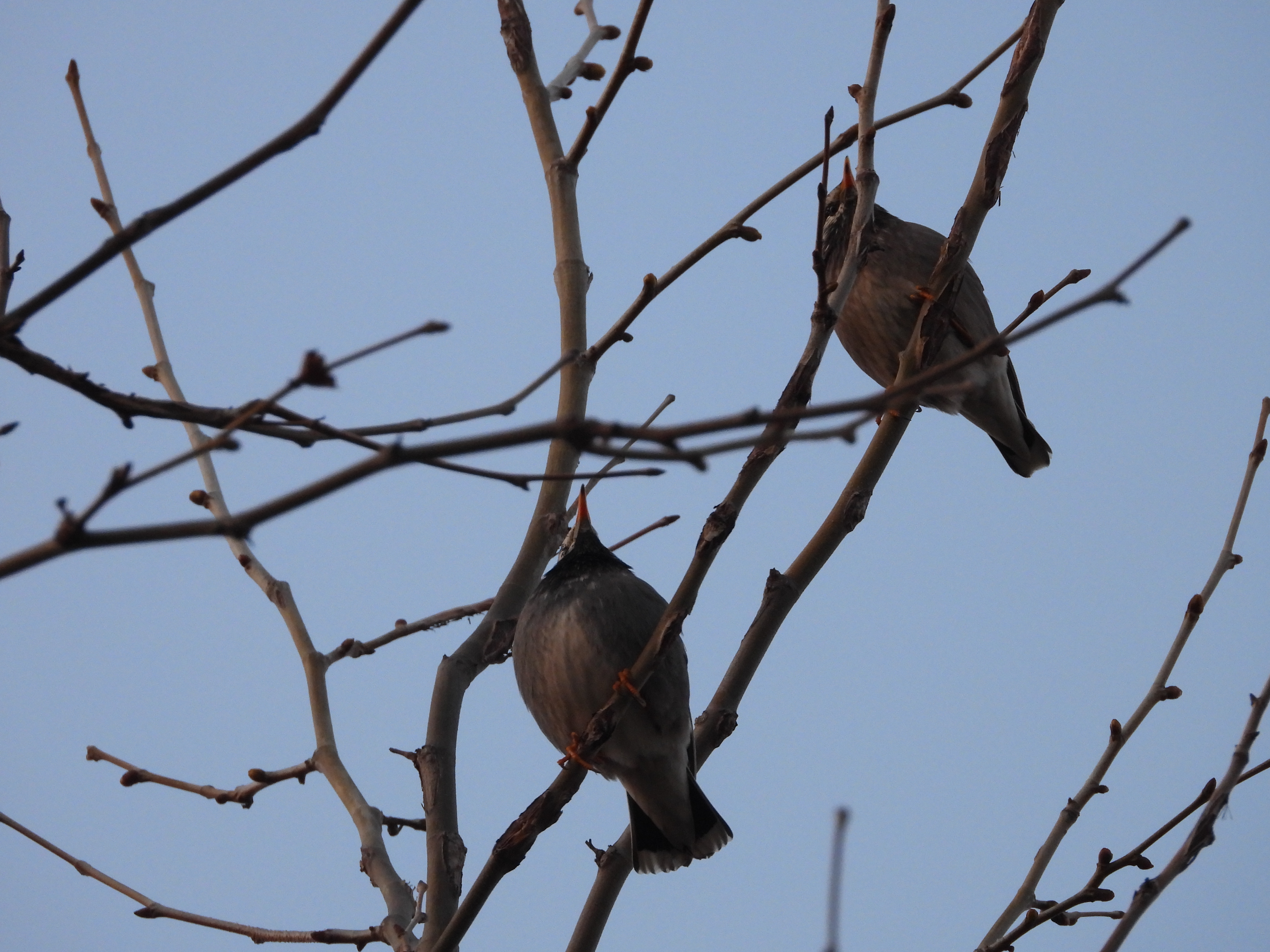 DSCN8502.JPG