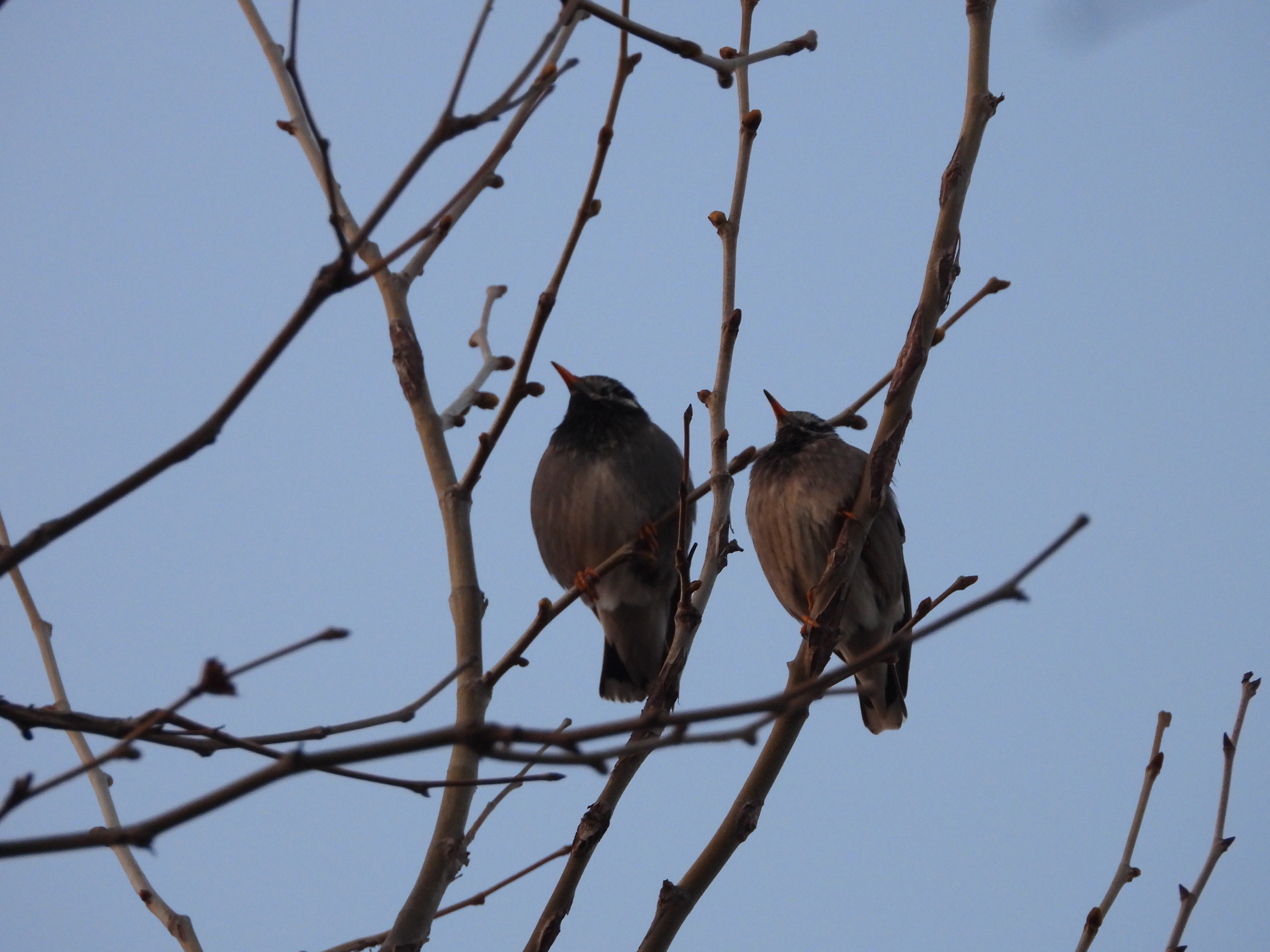 DSCN8498.JPG