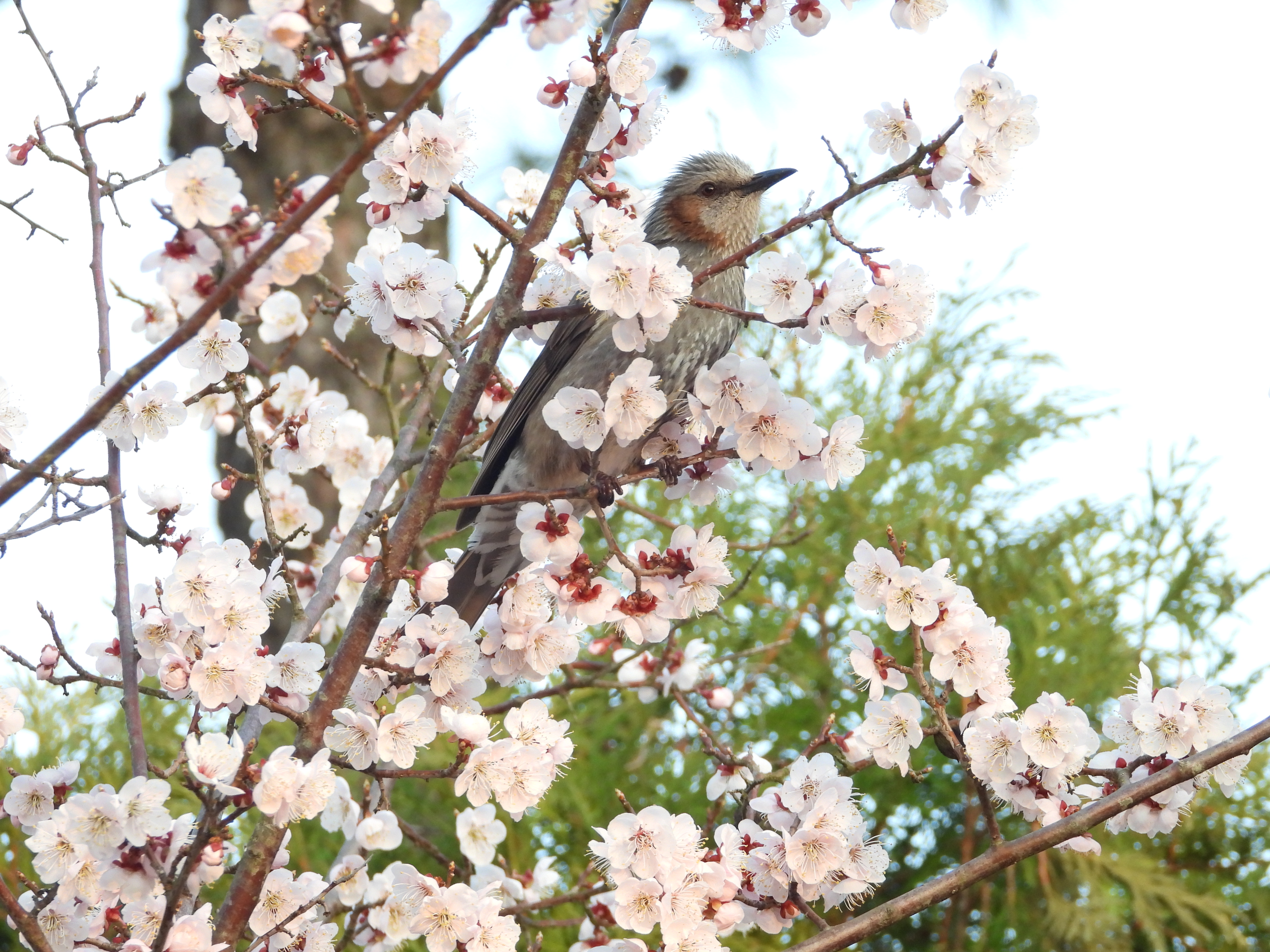 DSCN8322.JPG