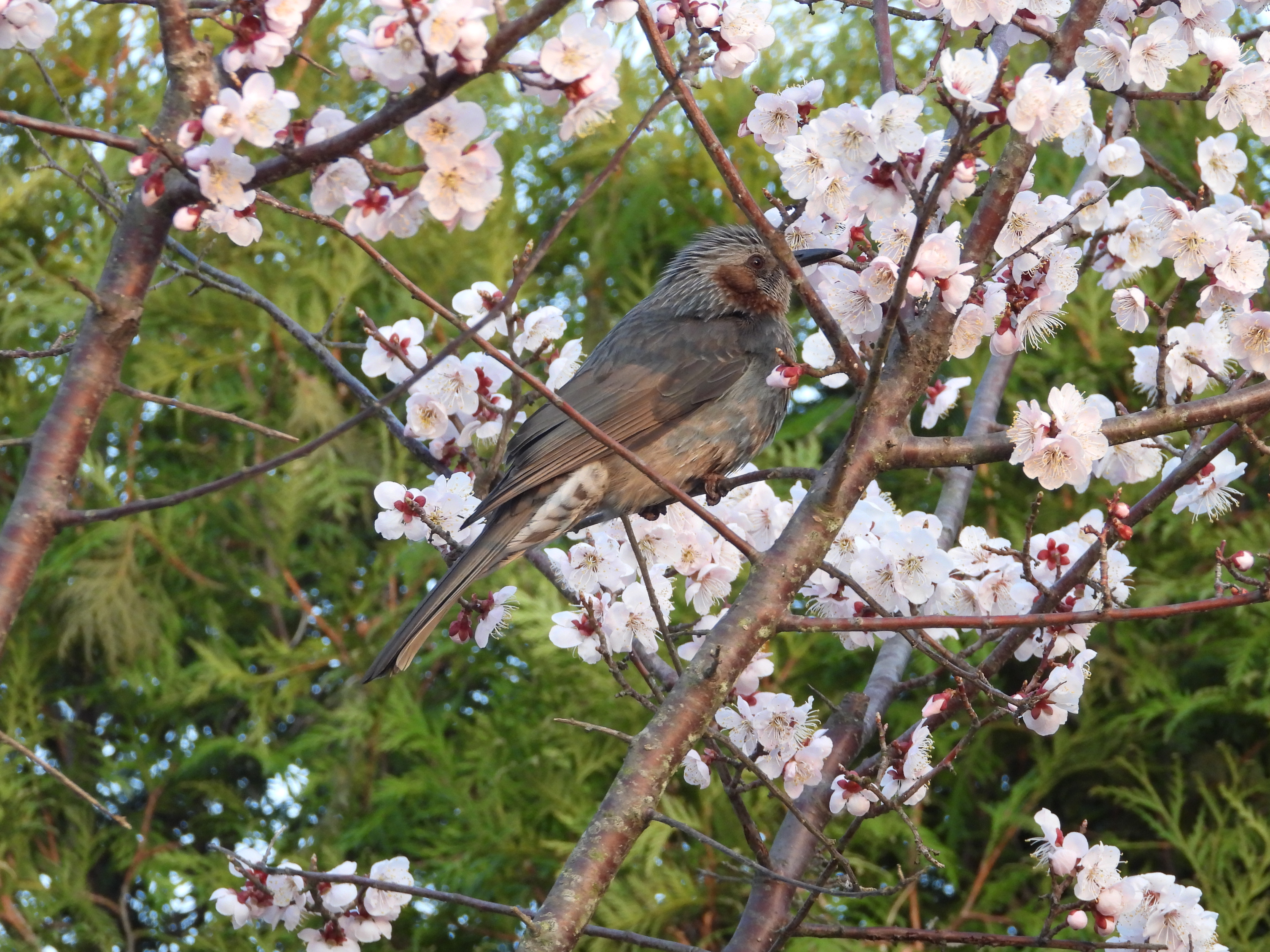 DSCN8307.JPG