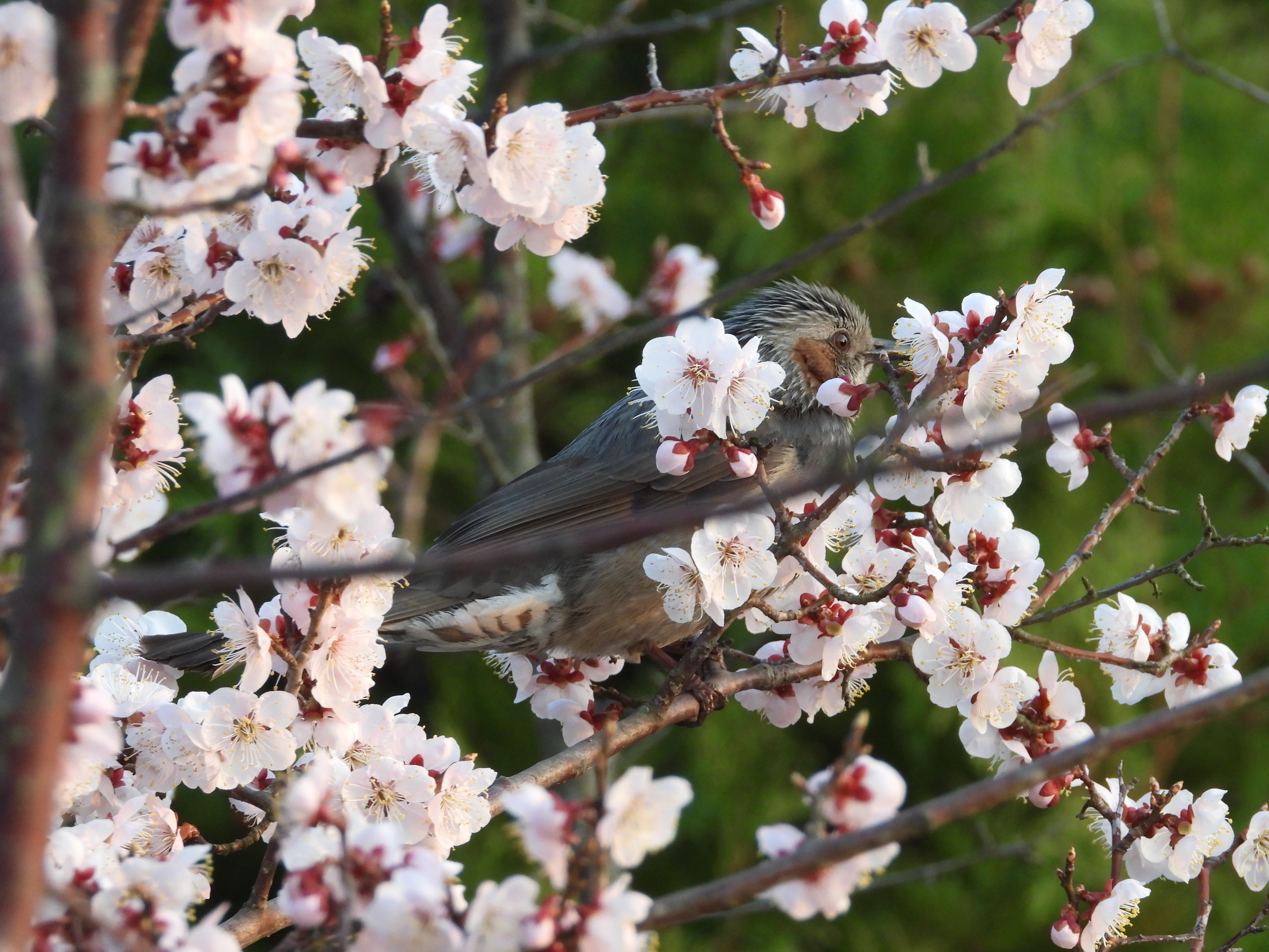 DSCN8362.JPG