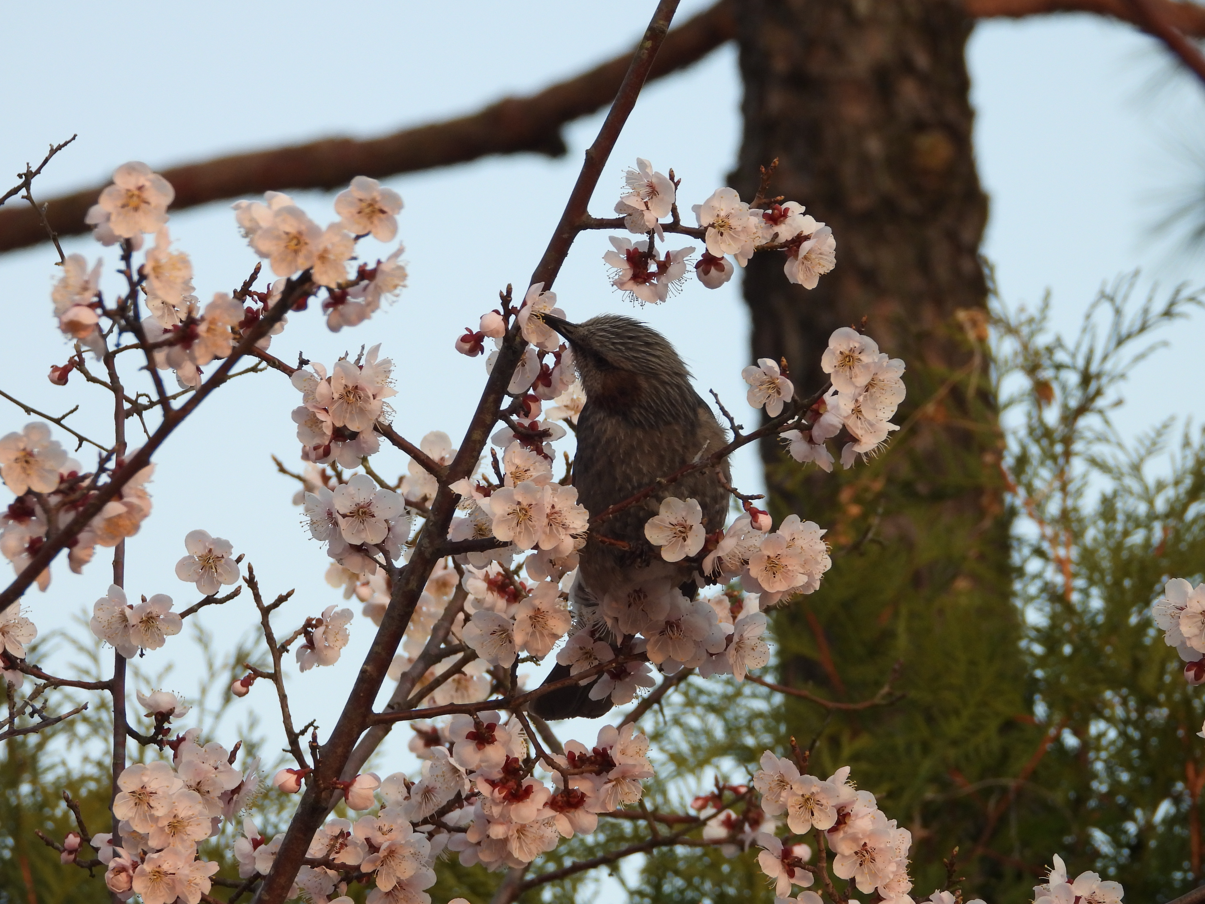 DSCN8327.JPG