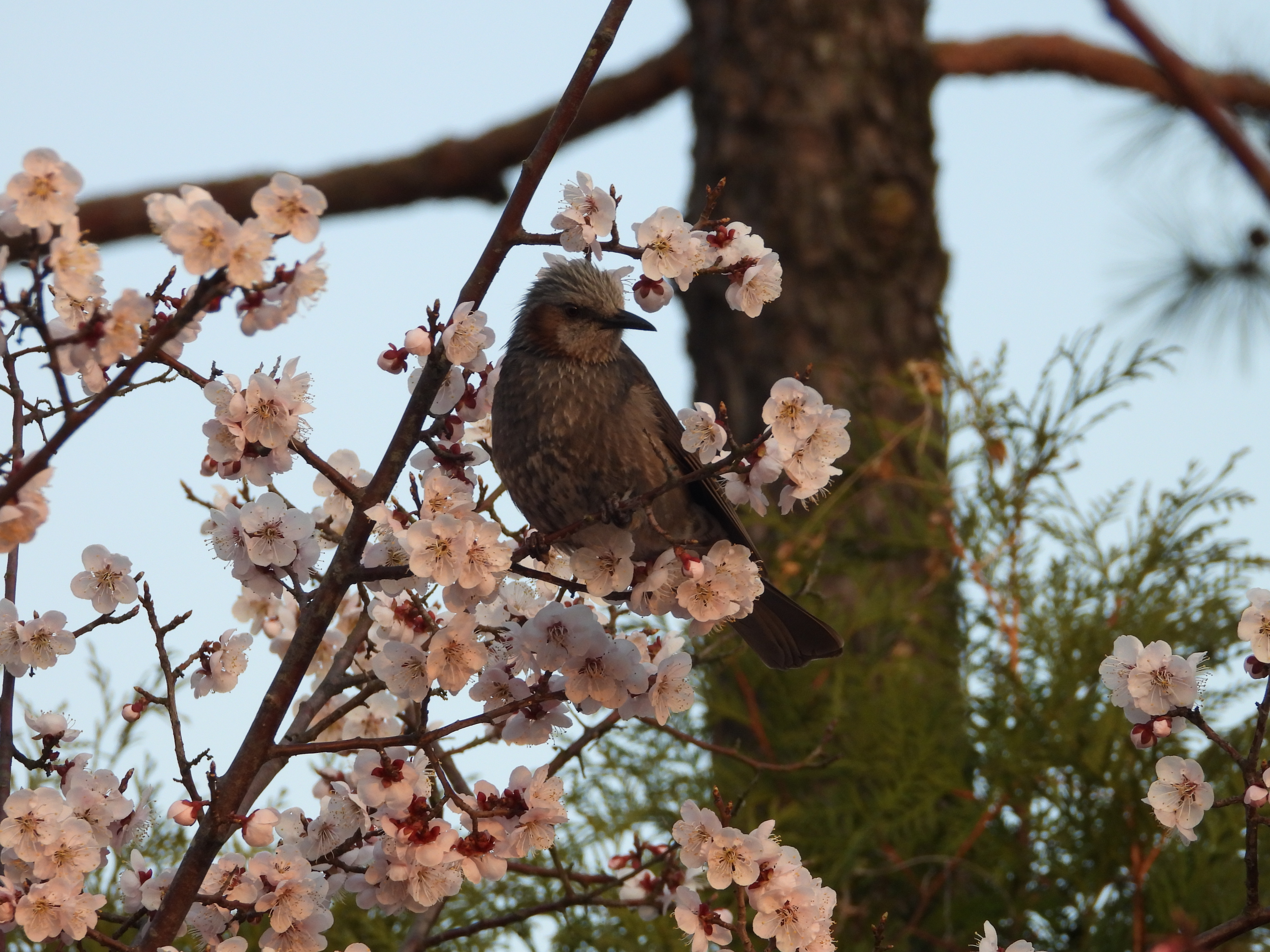 DSCN8347.JPG